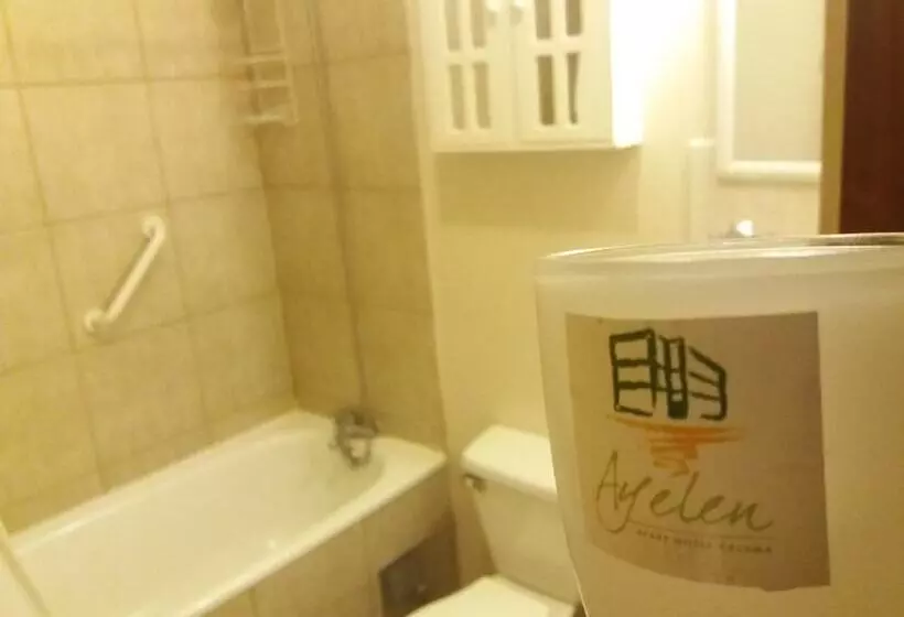 酒店 Ayelen Apart