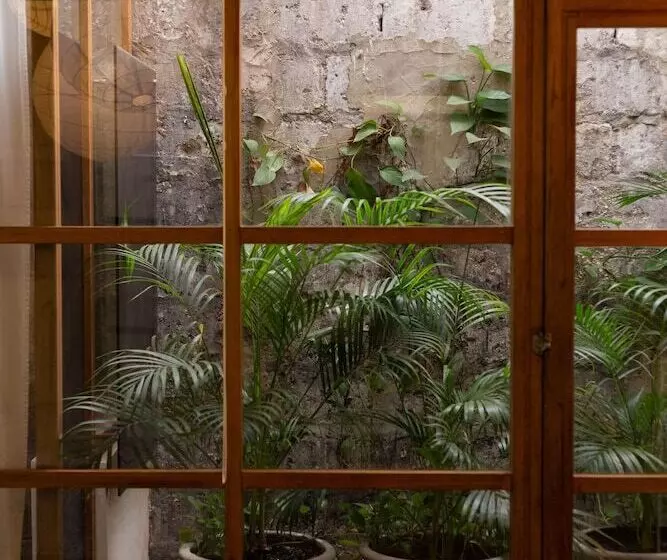 فندق Casa Lola Deluxe Gallery