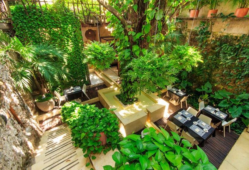 فندق Casa Lola Deluxe Gallery