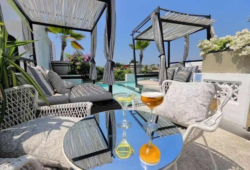 فندق Casa Lola Deluxe Gallery