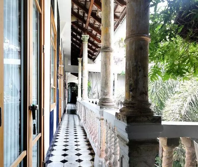 فندق Casa Lola Deluxe Gallery