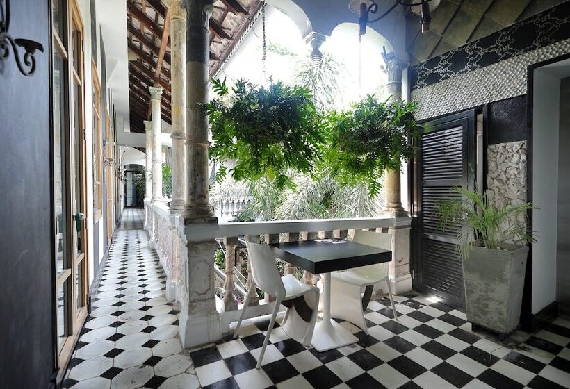 فندق Casa Lola Deluxe Gallery