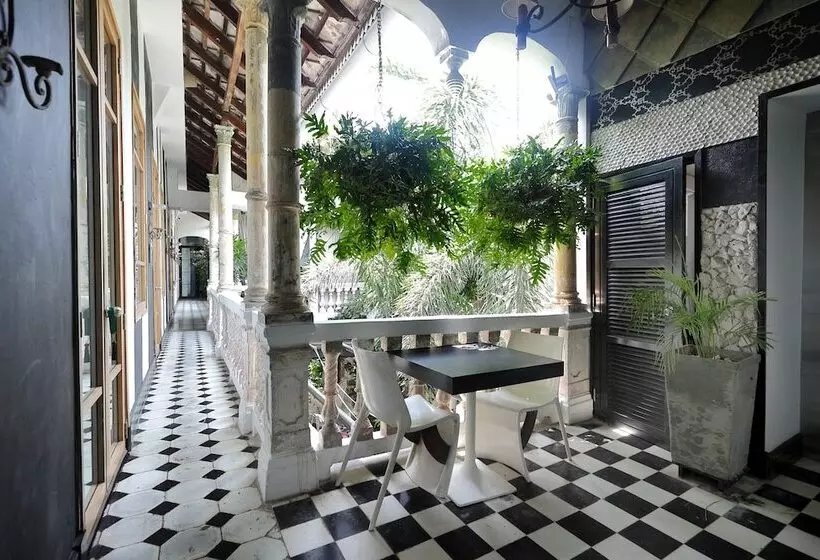 فندق Casa Lola Deluxe Gallery