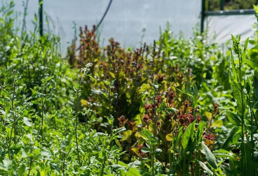 Hotel Challhuaquen Lodge