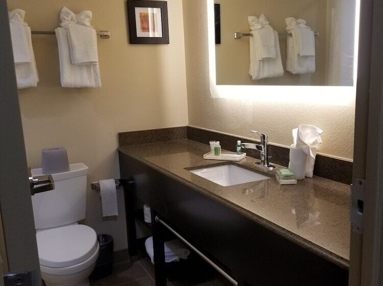 בית מלון כפרי Holiday Inn Poughkeepsie, An Ihg