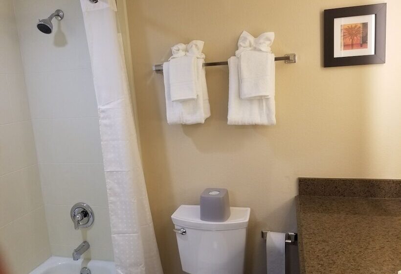 בית מלון כפרי Holiday Inn Poughkeepsie, An Ihg