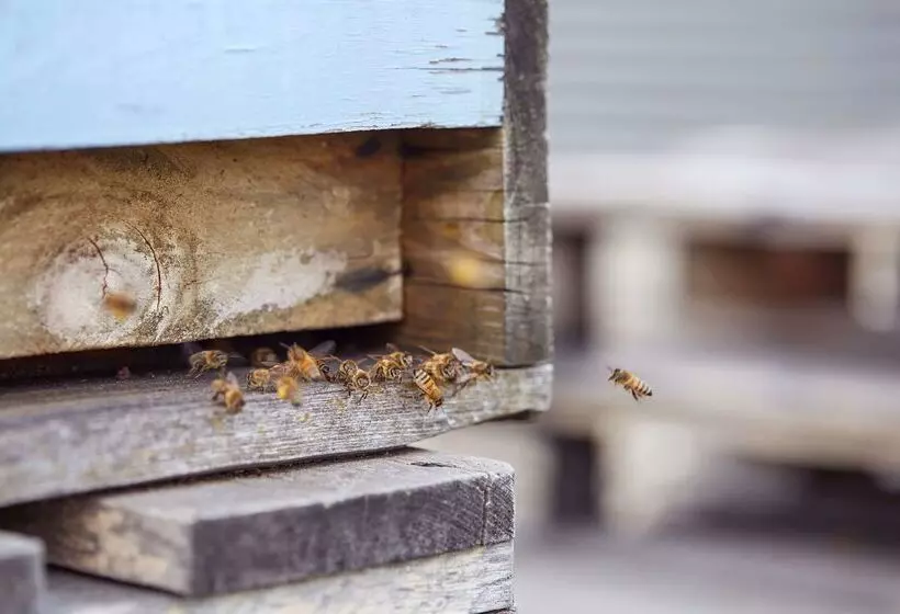 هتل Scandic Berlin Potsdamer Platz