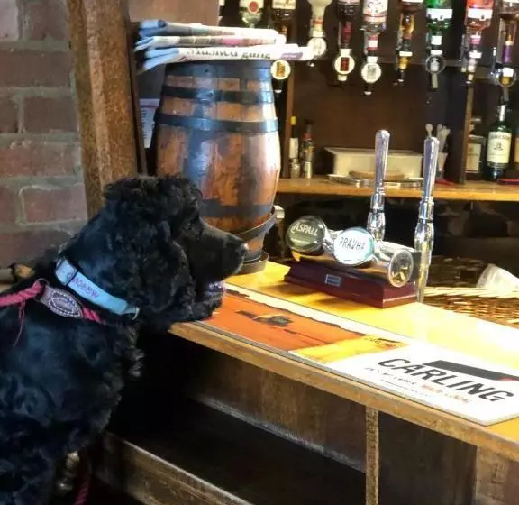 Отель Ye Olde White Harte