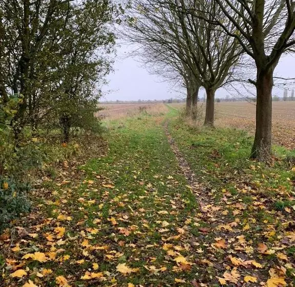 Отель Ye Olde White Harte