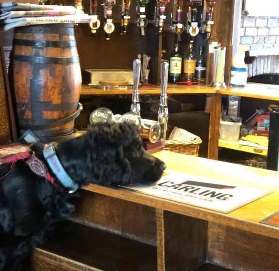 בית מלון כפרי Ye Olde White Harte