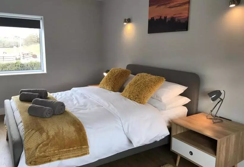 Cothi Bridge Apartments