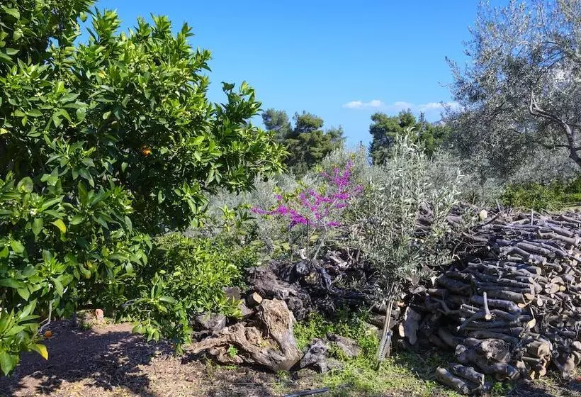 ペンション Magda Hotel Apartments