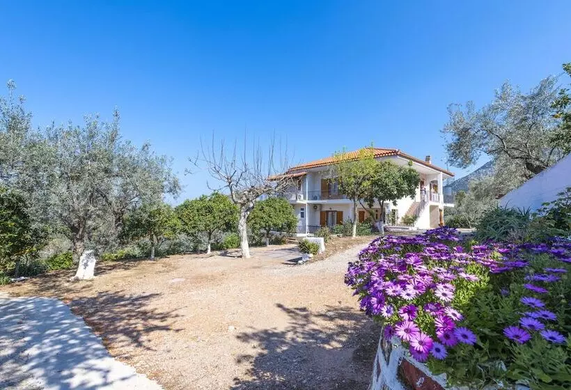 ペンション Magda Hotel Apartments