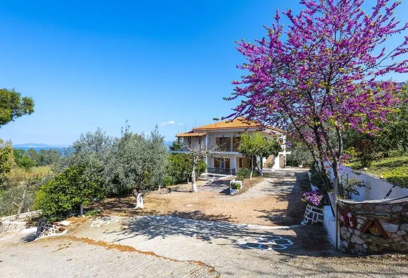 ペンション Magda Hotel Apartments