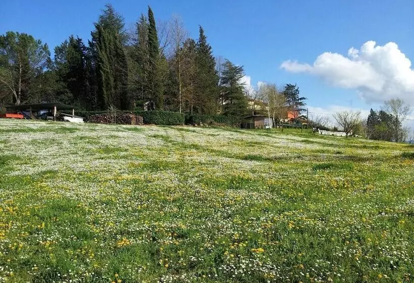 Residenssi Tuscan Hills Near Florence   Stone Farm House