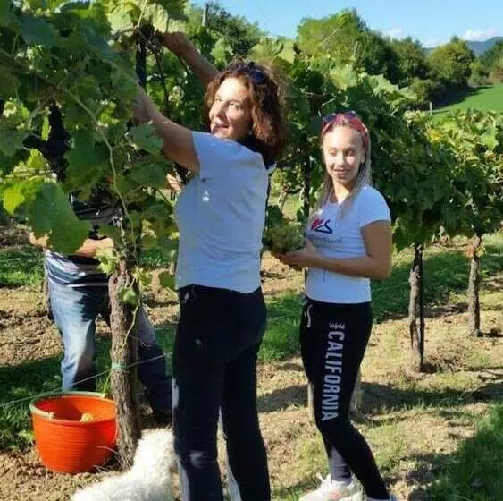 Residenssi Tuscan Hills Near Florence   Stone Farm House