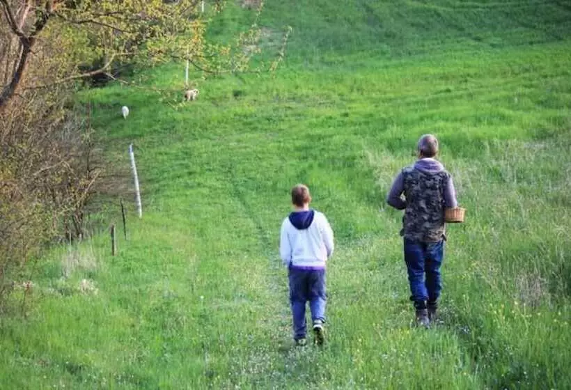 Residenssi Tuscan Hills Near Florence   Stone Farm House