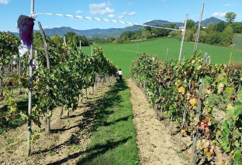 דירת נופש Tuscan Hills Near Florence   Stone Farm House