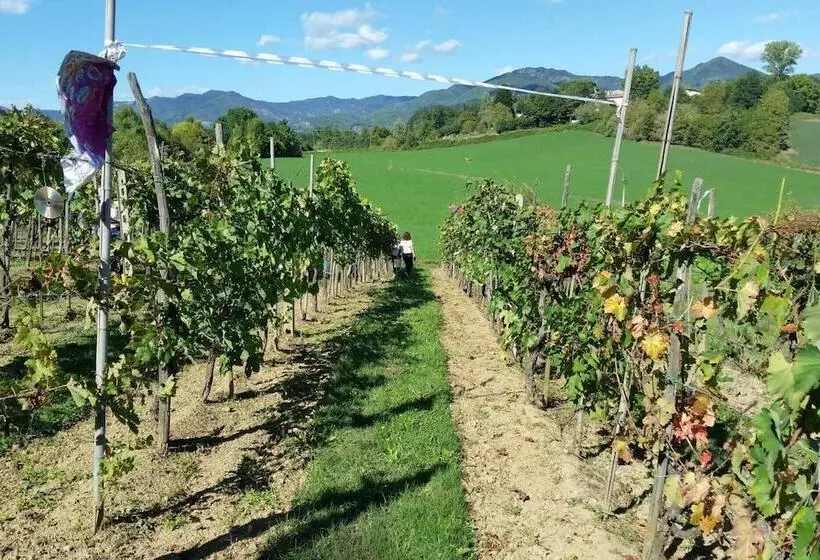 Residenssi Tuscan Hills Near Florence   Stone Farm House