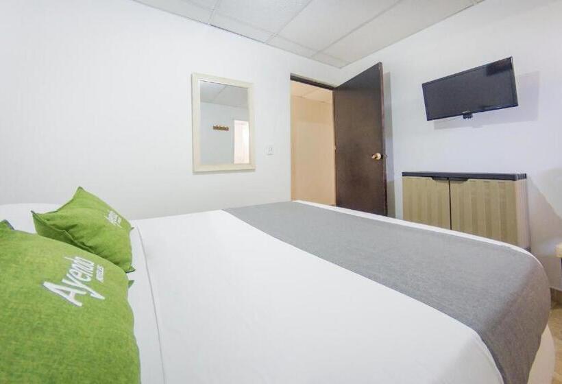 هتل Puerto Vigia Inn