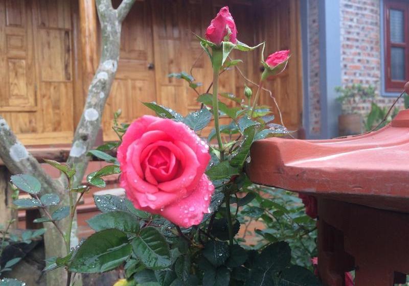 Fotos del hotel Vân Long Garden:  6