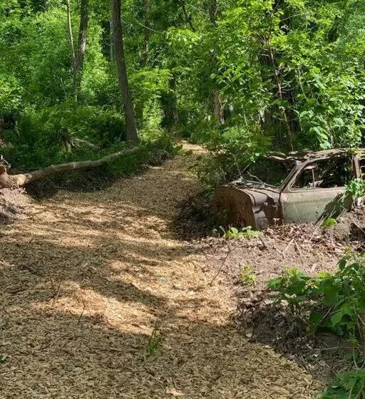 Retkeilymaja Murphys Law Inn 4