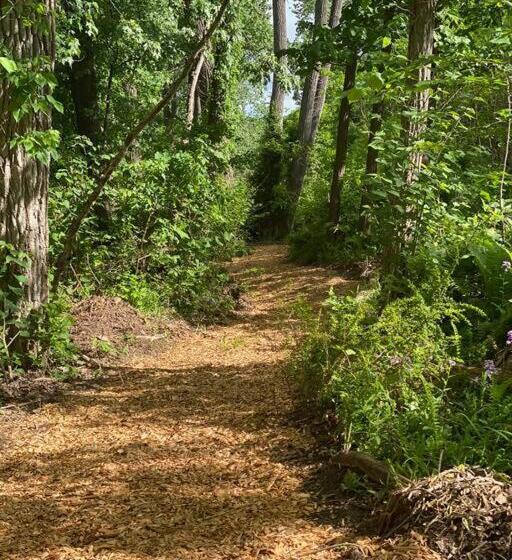 הוסטל Murphys Law Inn 4