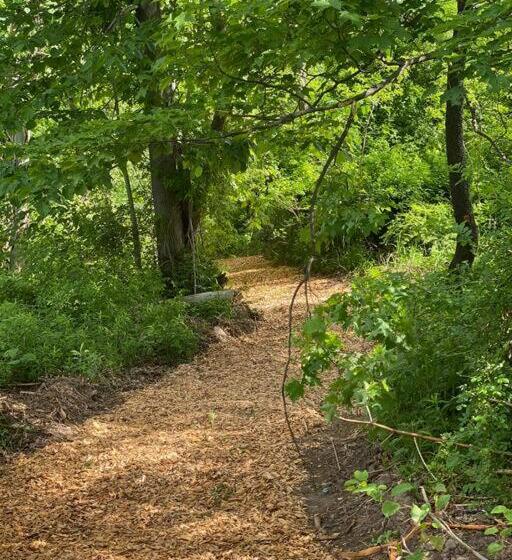 הוסטל Murphys Law Inn 4