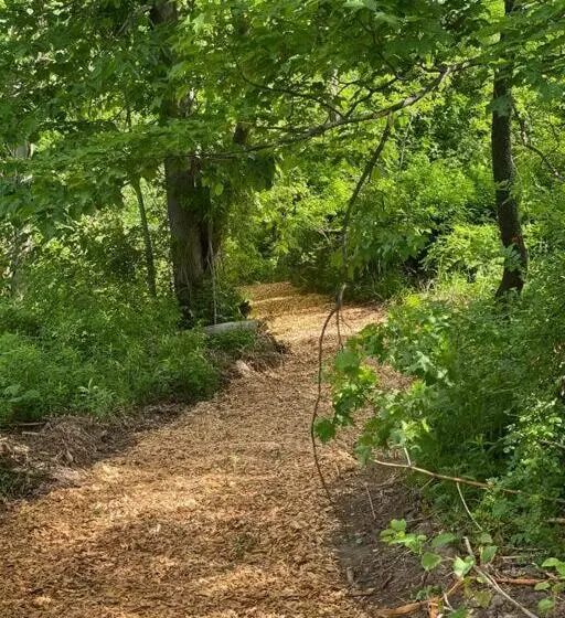 Retkeilymaja Murphys Law Inn 4