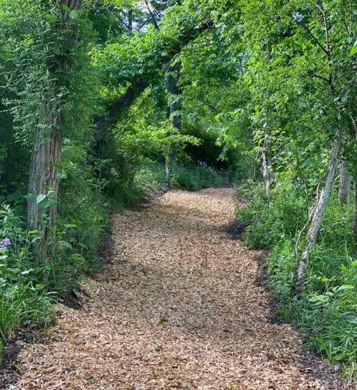 הוסטל Murphys Law Inn 4