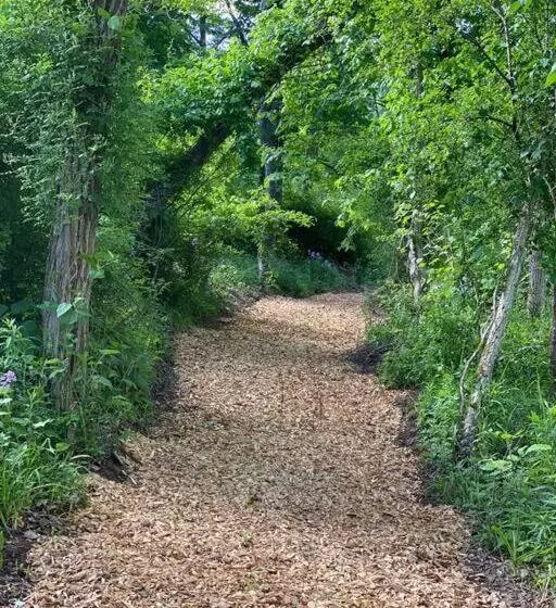 Retkeilymaja Murphys Law Inn 4