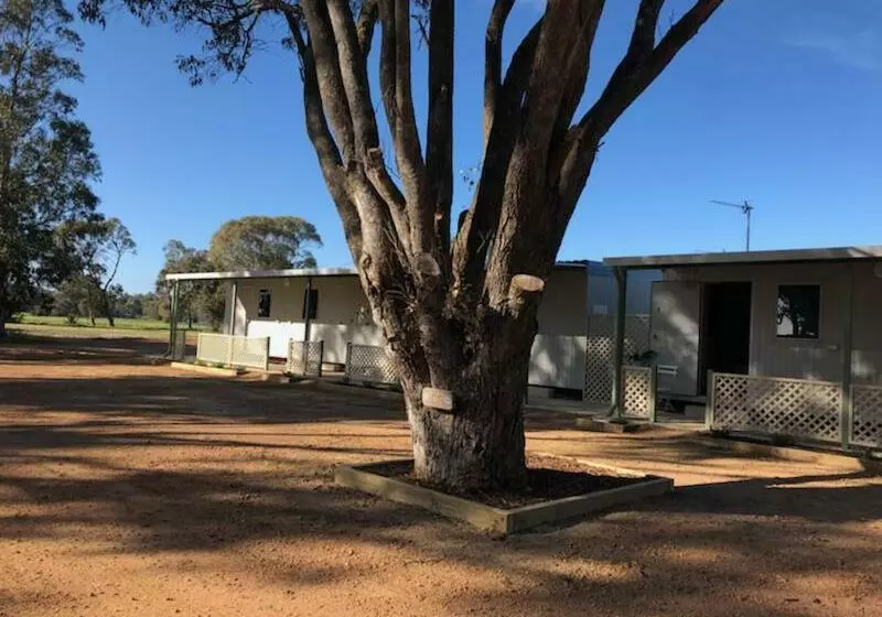 ユースホステル Peppermint Grove Beach Holiday Park