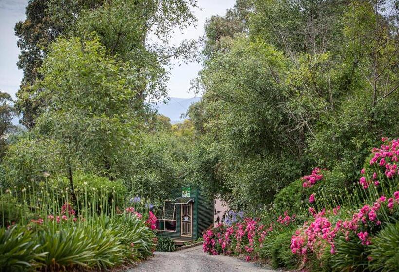 ホテル Avoca Park Equestrian Farmstay