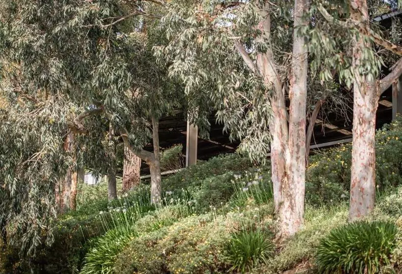 ホテル Avoca Park Equestrian Farmstay