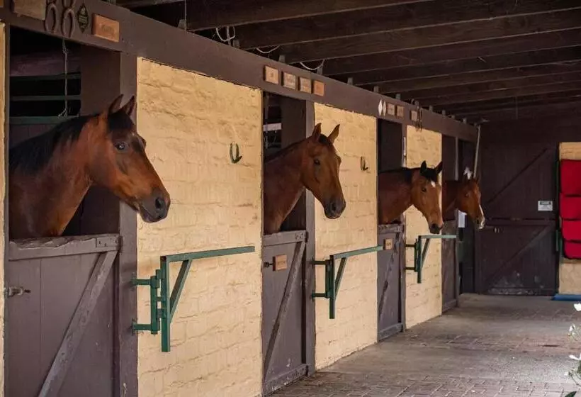ホテル Avoca Park Equestrian Farmstay
