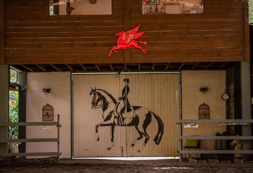 ホテル Avoca Park Equestrian Farmstay