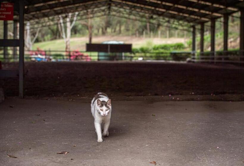 ホテル Avoca Park Equestrian Farmstay