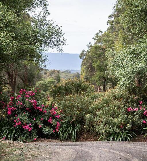 ホテル Avoca Park Equestrian Farmstay