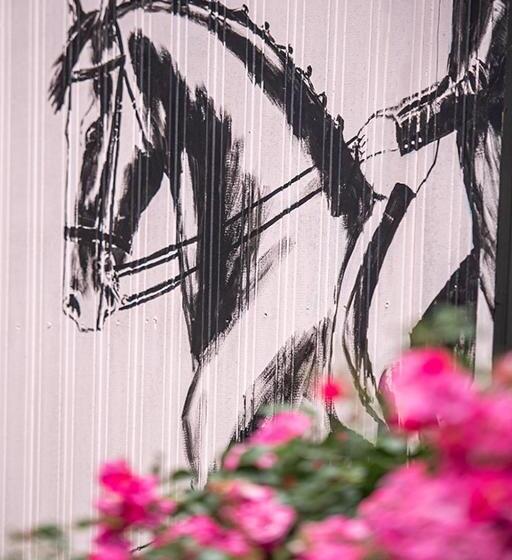 ホテル Avoca Park Equestrian Farmstay