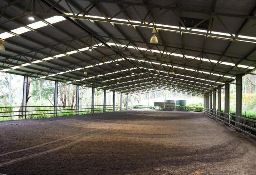 ホテル Avoca Park Equestrian Farmstay