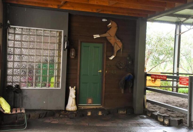 ホテル Avoca Park Equestrian Farmstay