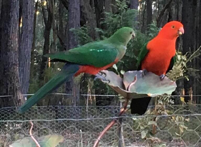 酒店 Ionaforest Yurt