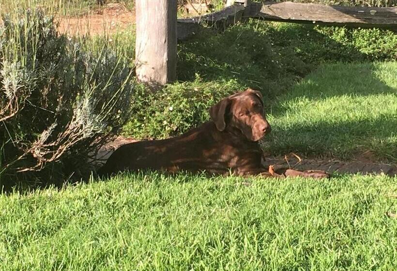 酒店 Ionaforest Yurt