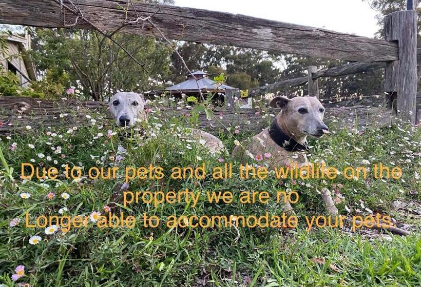 酒店 Ionaforest Yurt