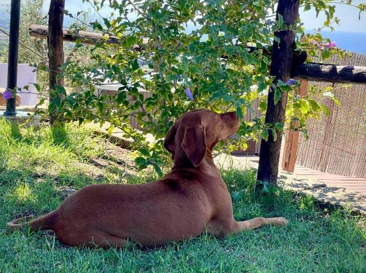 فندق Agriturismo Suite Del Conte