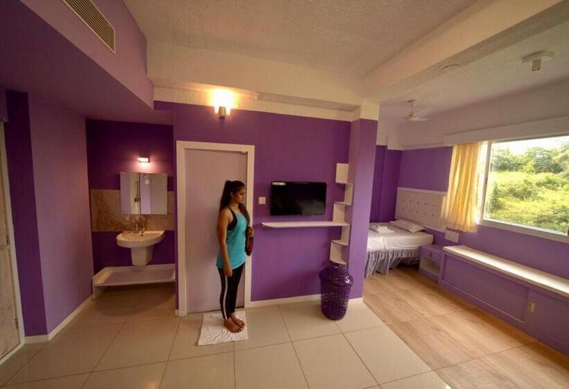 酒店 Niasha Youth Hostel