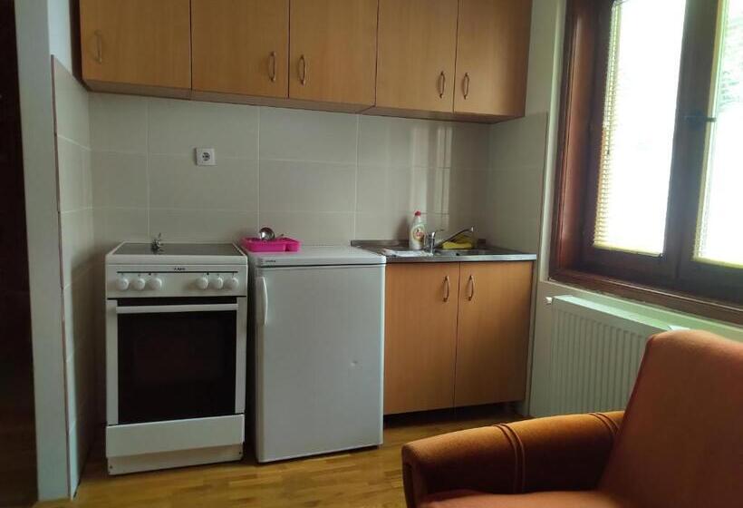 پانسیون Apartments And Rooms Vicko