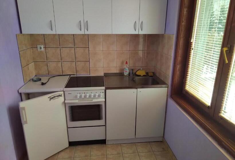 پانسیون Apartments And Rooms Vicko