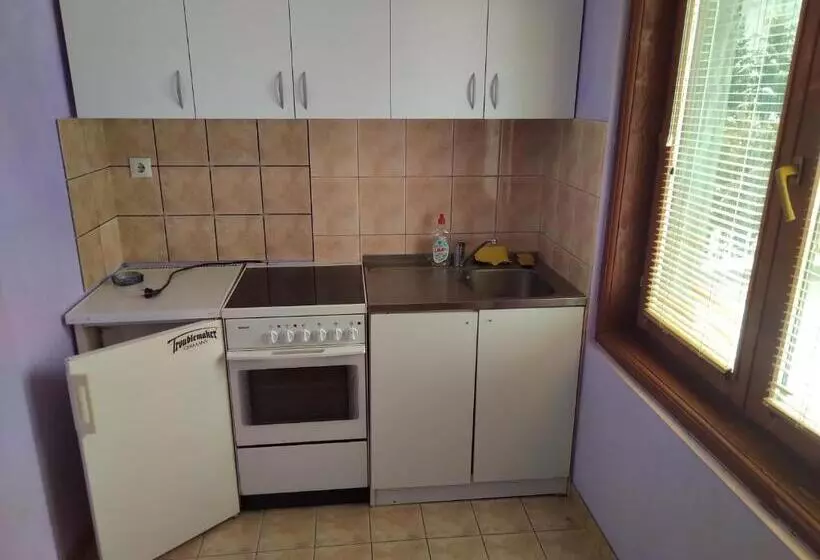 Majatalo Apartments And Rooms Vicko