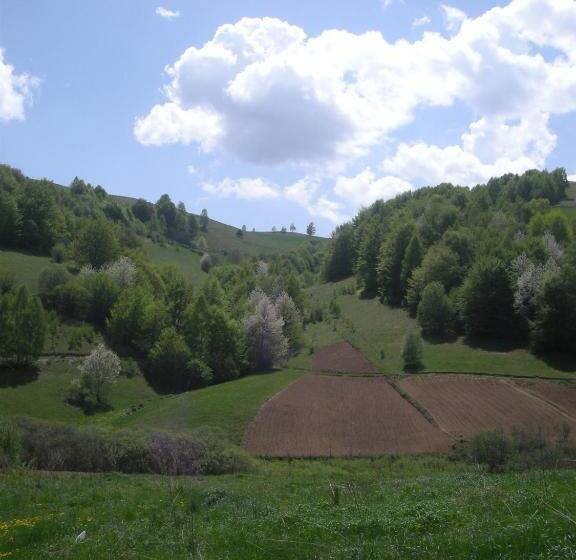 پانسیون Apartments And Rooms Vicko